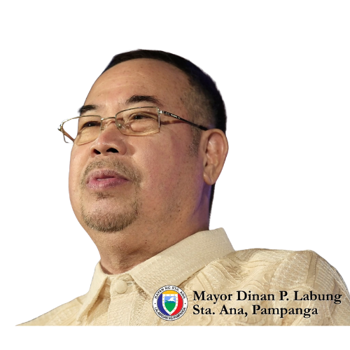 Hon. Ferdinand P. Labung, Municipal Mayor